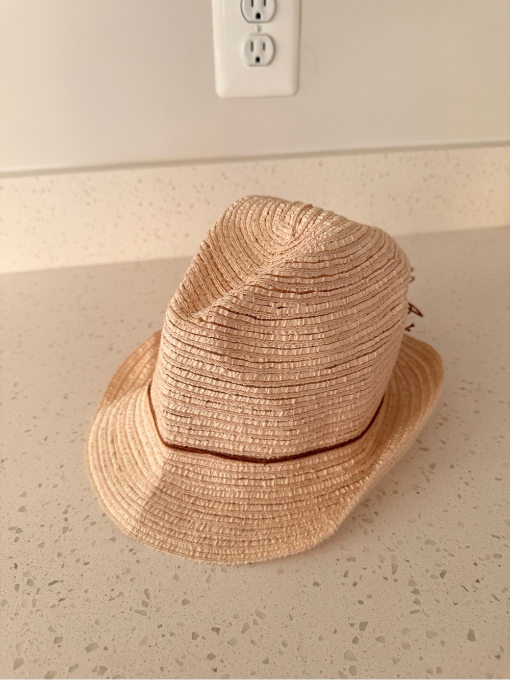 Straw Fedora Hat in Natural Beige